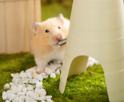 Hamster Water Bottle Feeder